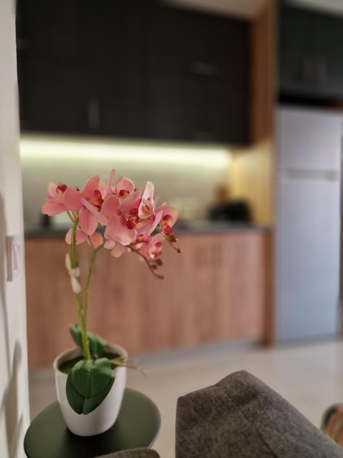 קיסאמוס S N G/ Best View Apartment מראה חיצוני תמונה